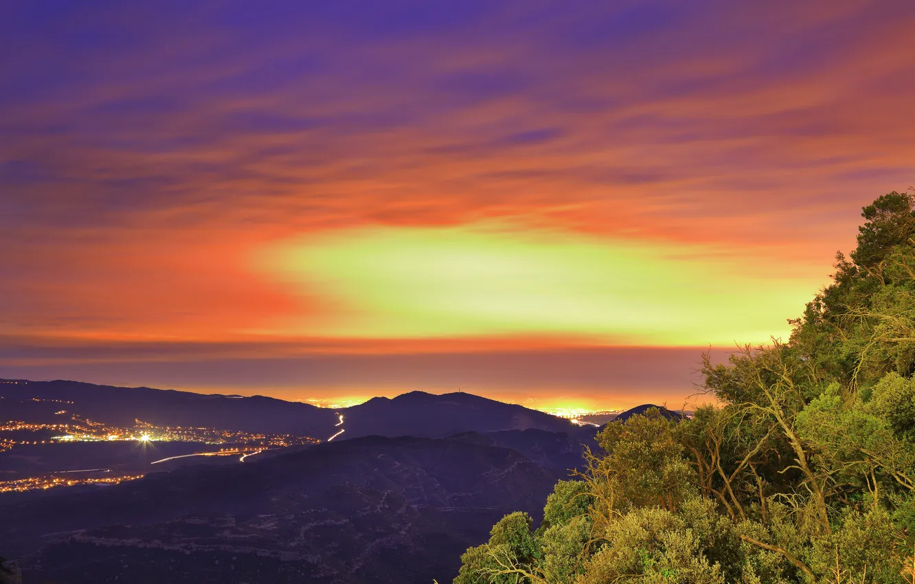 Photo wallpaper the sky, leaves, trees, the city, lights
