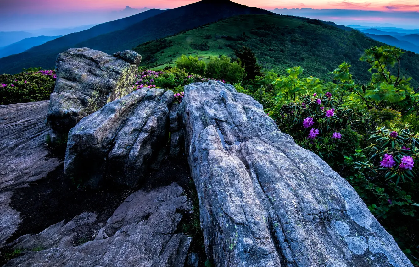 Photo wallpaper Highlands, North Carolina, Tennessee, Roan Mountain