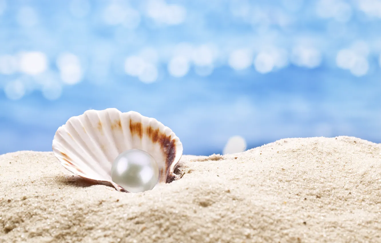 Photo wallpaper pearl, shell, sunshine, beach, sea, sand, seashell