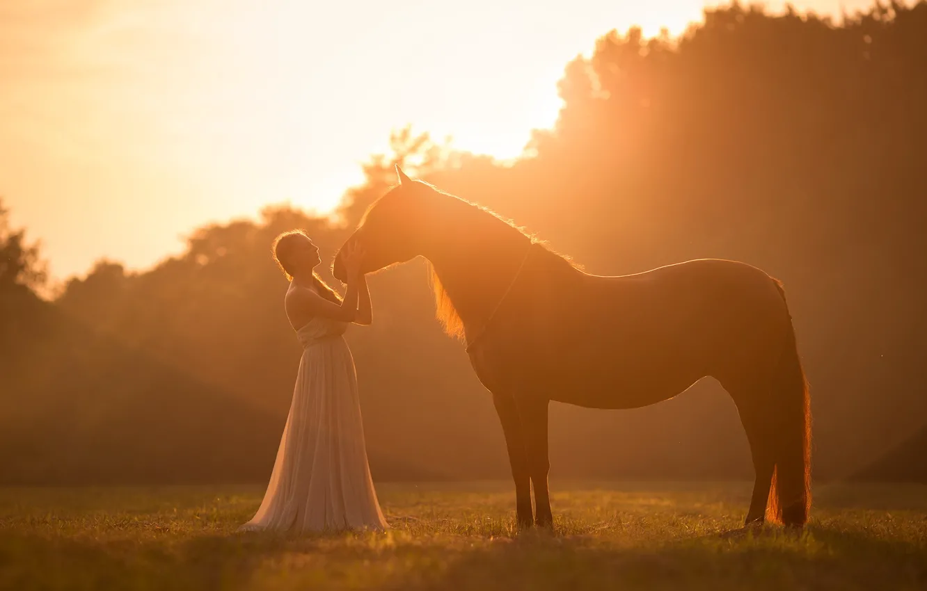 Photo wallpaper girl, light, mood, horse