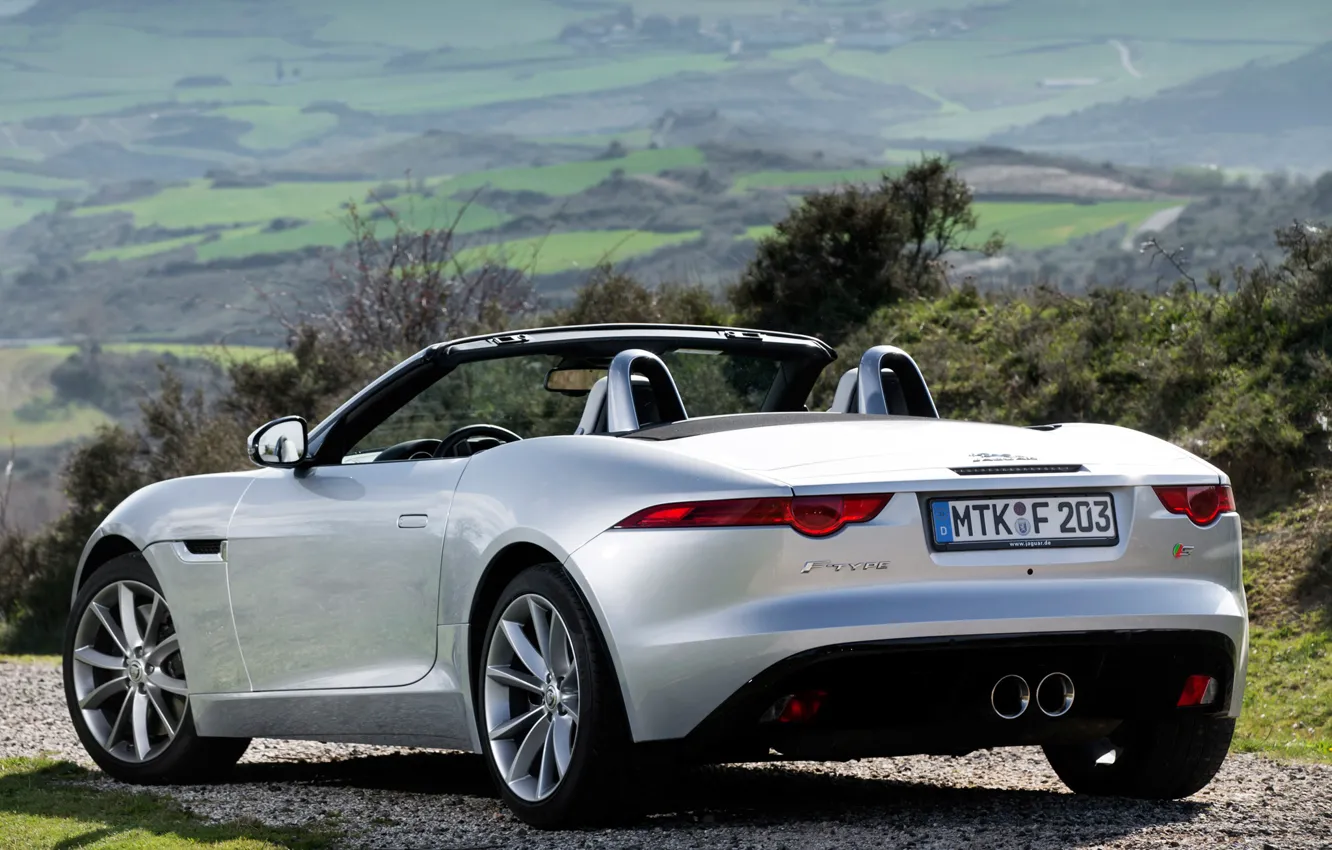 Photo wallpaper Jaguar, convertible, car, back, F-Type