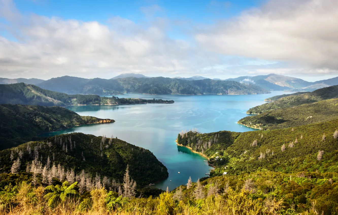 Photo wallpaper sea, Islands, New Zealand, Marlborough