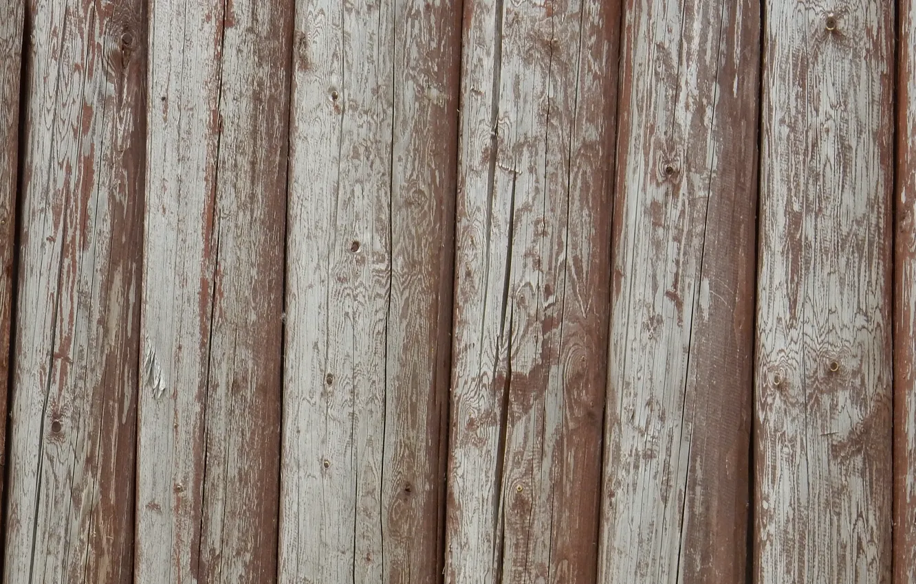 Photo wallpaper background, wall, widescreen, Wallpaper, texture, wallpaper, log, widescreen