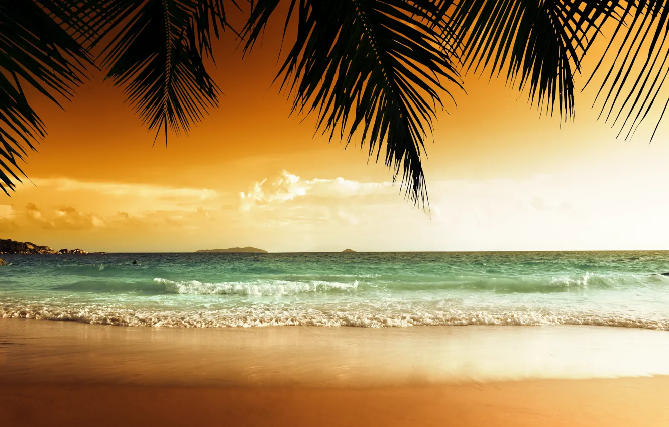 Photo wallpaper sand, sea, beach, sunset, tropics, palm trees, shore, beach