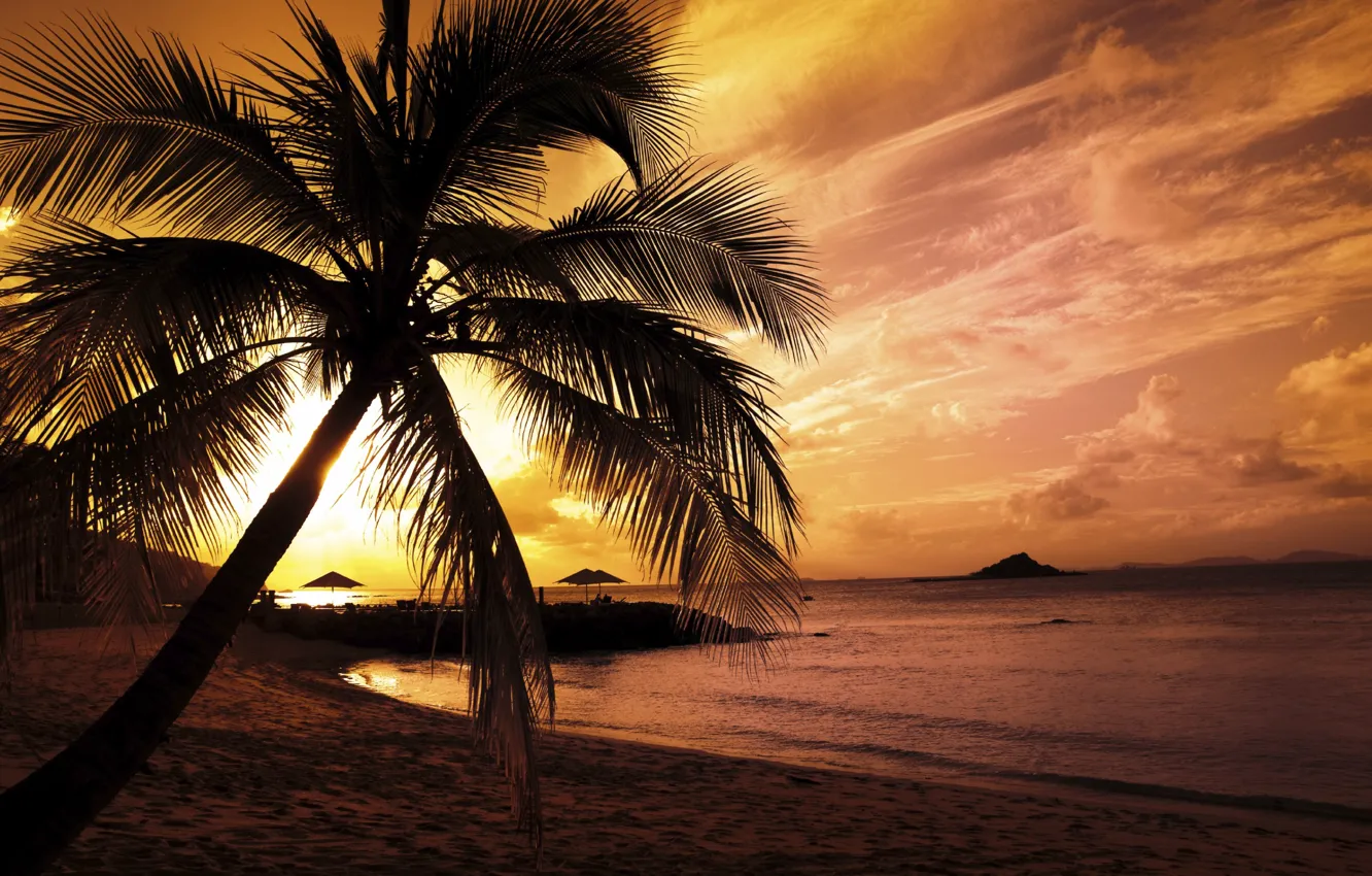 Photo wallpaper sea, sunset, palm trees
