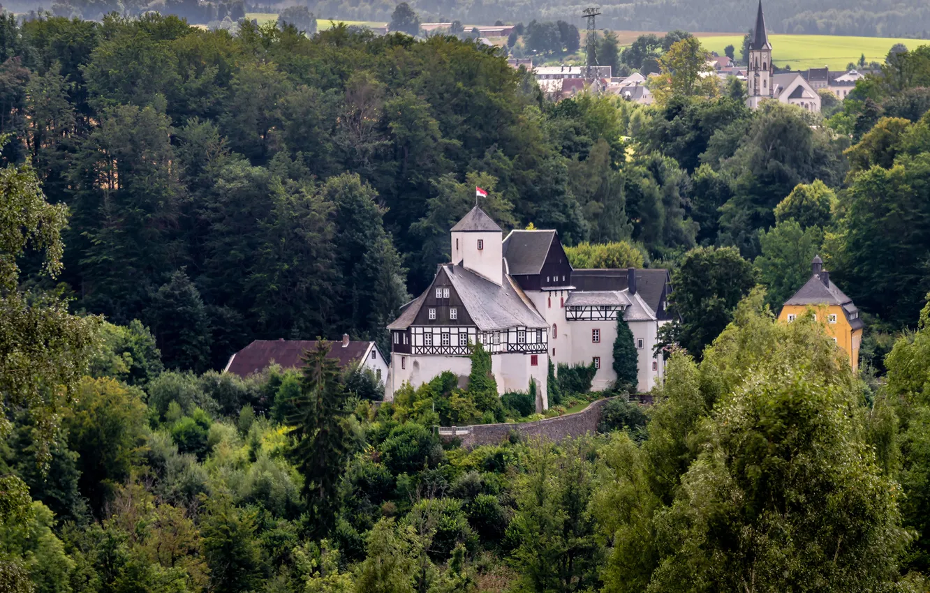 Photo wallpaper forest, castle, mansion