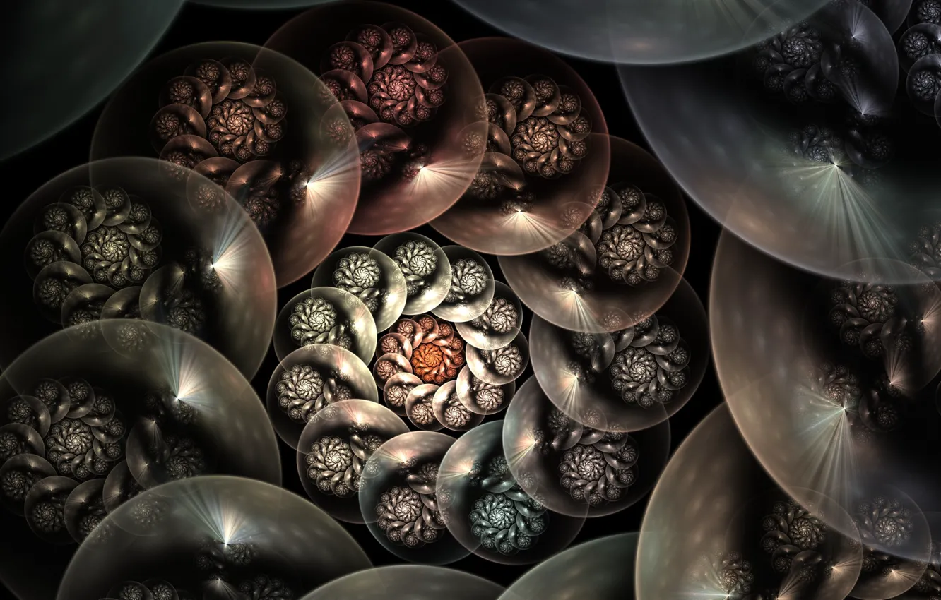 Photo wallpaper flowers, curls, pattern