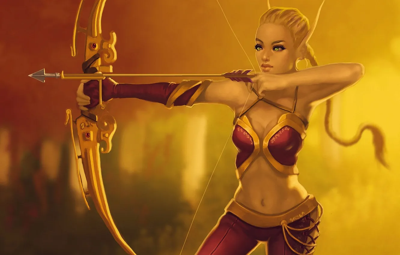 Photo wallpaper girl, weapons, bow, art, braids, elf