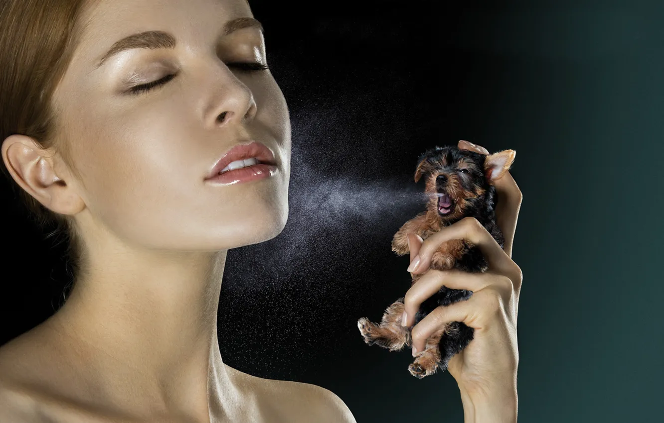 Photo wallpaper girl, creative, dog, spray