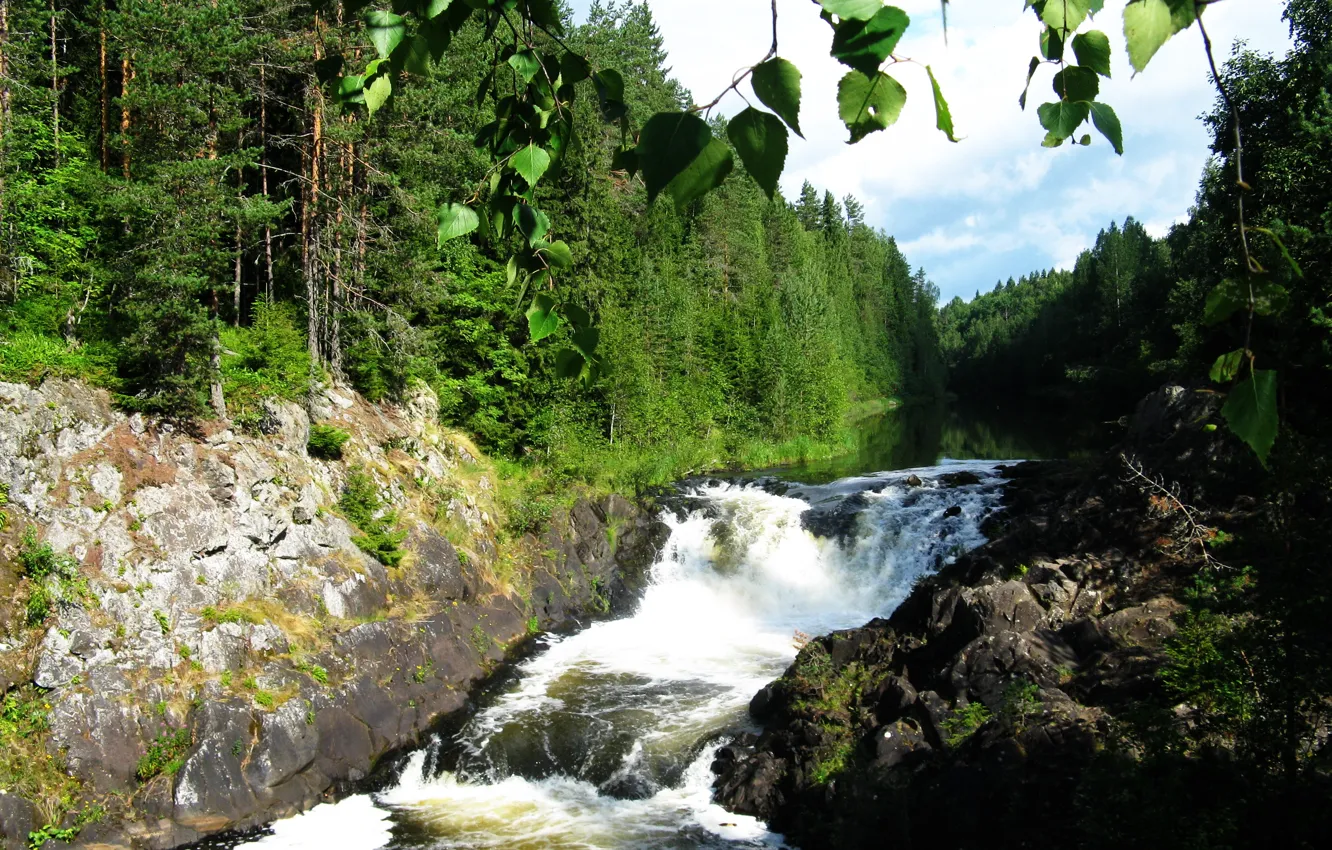 Photo wallpaper water, waterfall, green, Karelia, Kivach