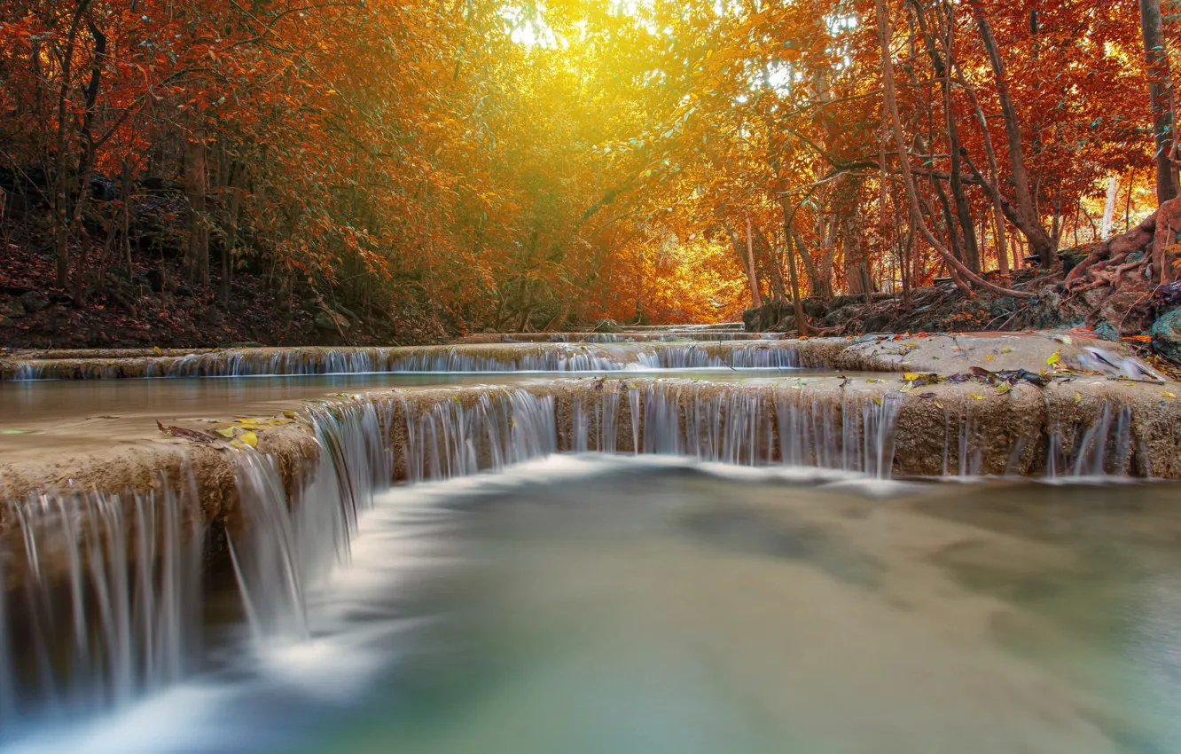 Photo wallpaper autumn, forest, leaves, landscape, river, rocks, waterfall, forest