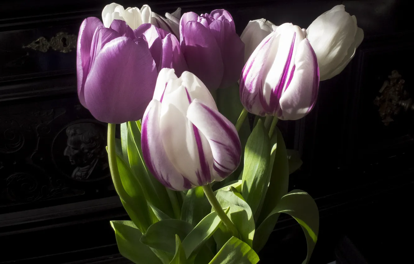 Photo wallpaper light, flowers, the dark background, bouquet, tulips, white, piano, piano