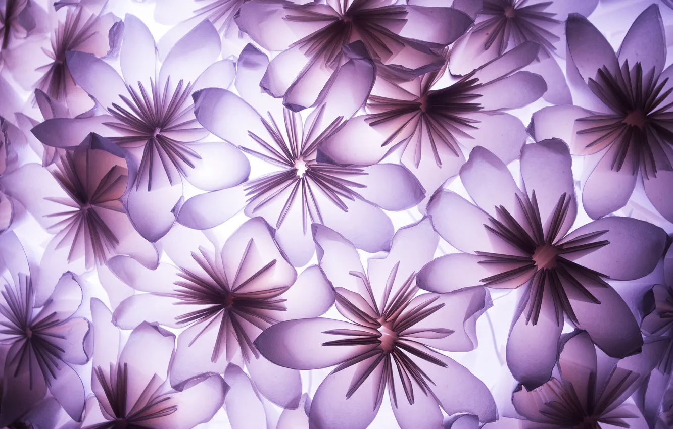 Photo wallpaper texture, petals, applique