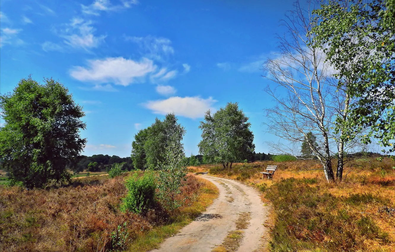 Photo wallpaper road, summer, bench