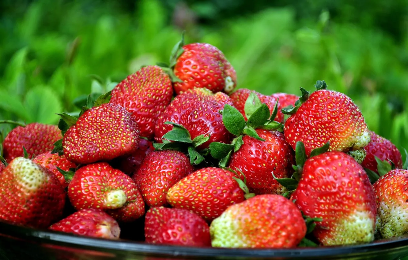 Photo wallpaper background, strawberry, slide