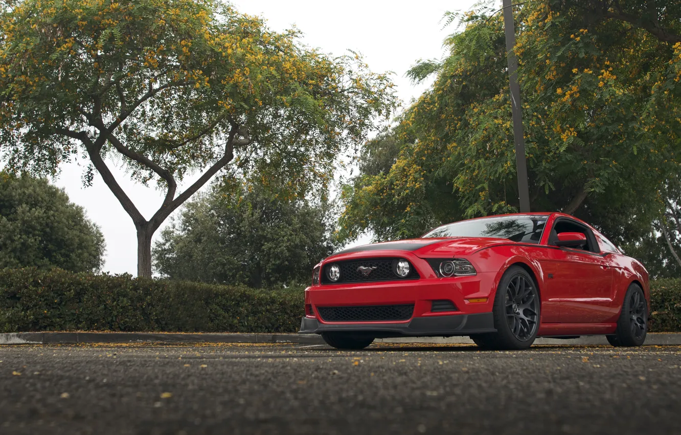Photo wallpaper Mustang, Ford, RTR, Parking, 2013