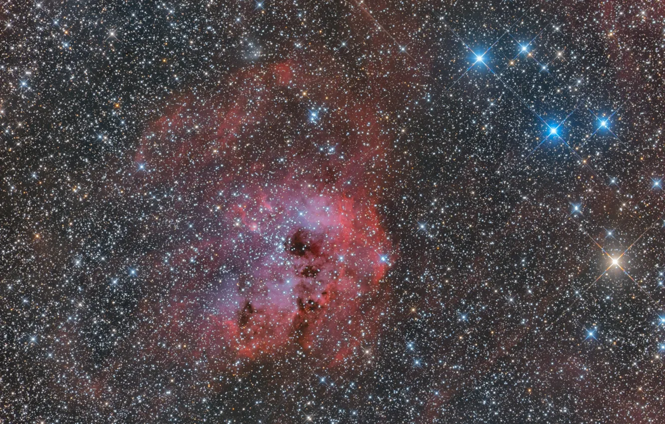 Photo wallpaper nebula, IC 410, Tadpoles