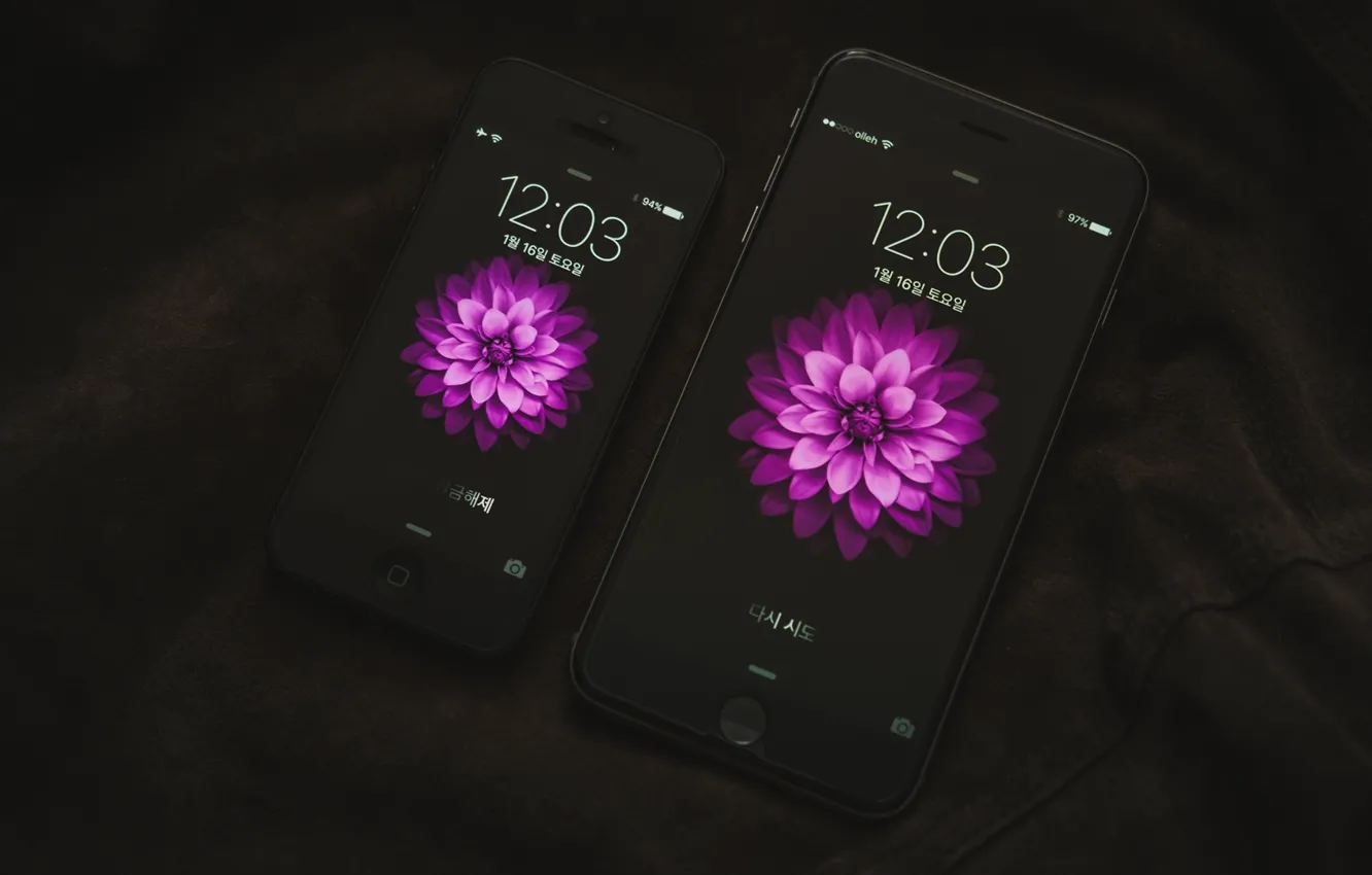Photo wallpaper flower, screen, touch, iPhone 6