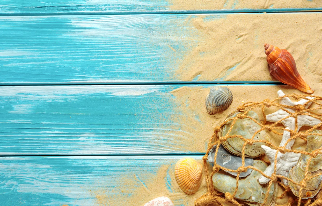 Photo wallpaper sand, beach, shell, beach, wood, sand, marine, still life