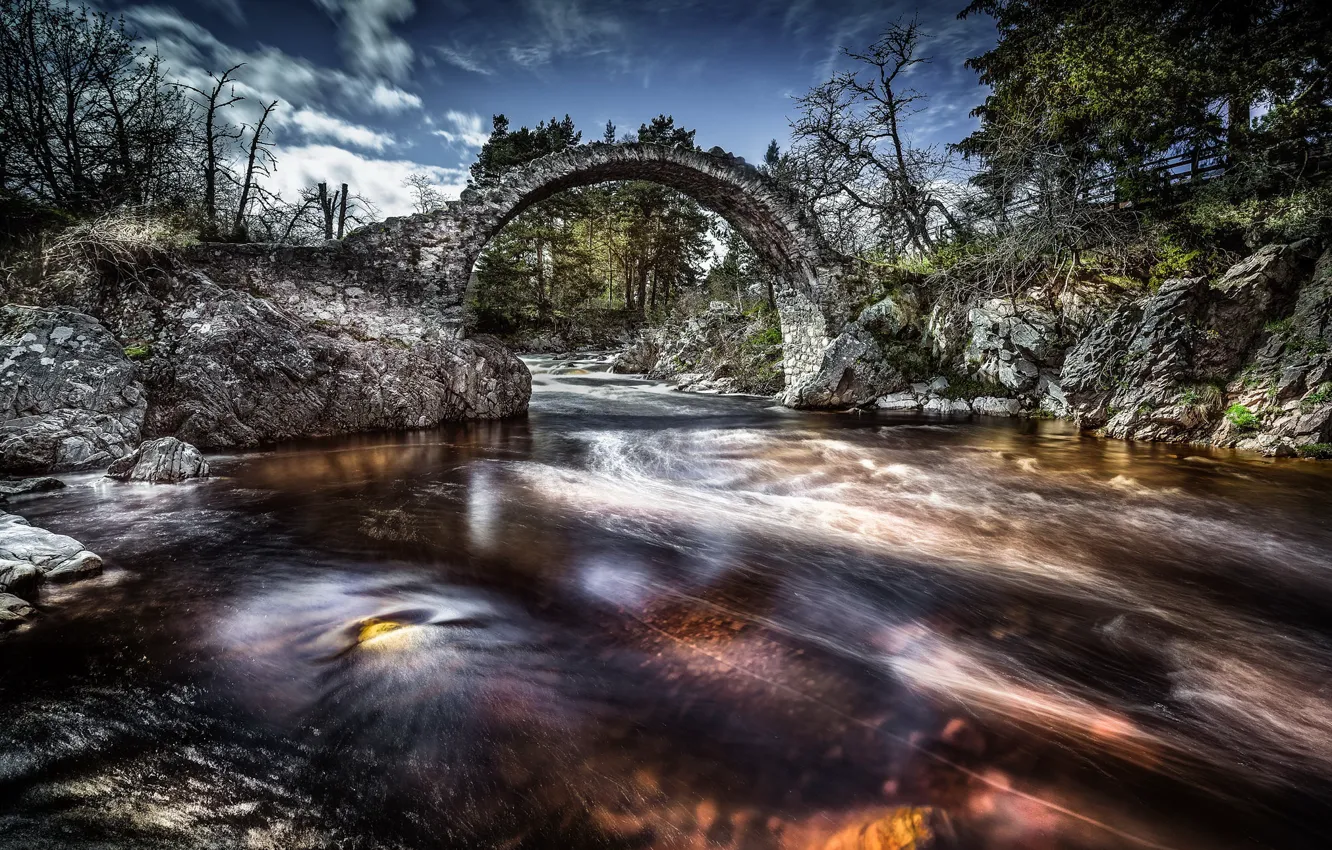 Photo wallpaper bridge, nature, river