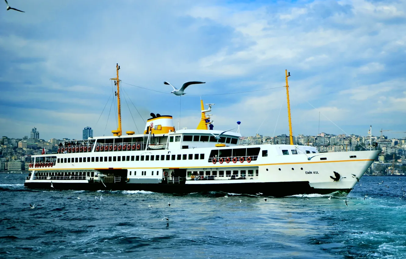 Photo wallpaper seagulls, Istanbul, ship, The Bosphorus