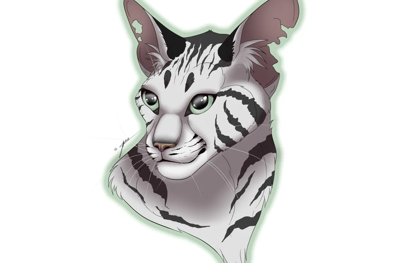 Photo wallpaper white, strips, tiger, portrait