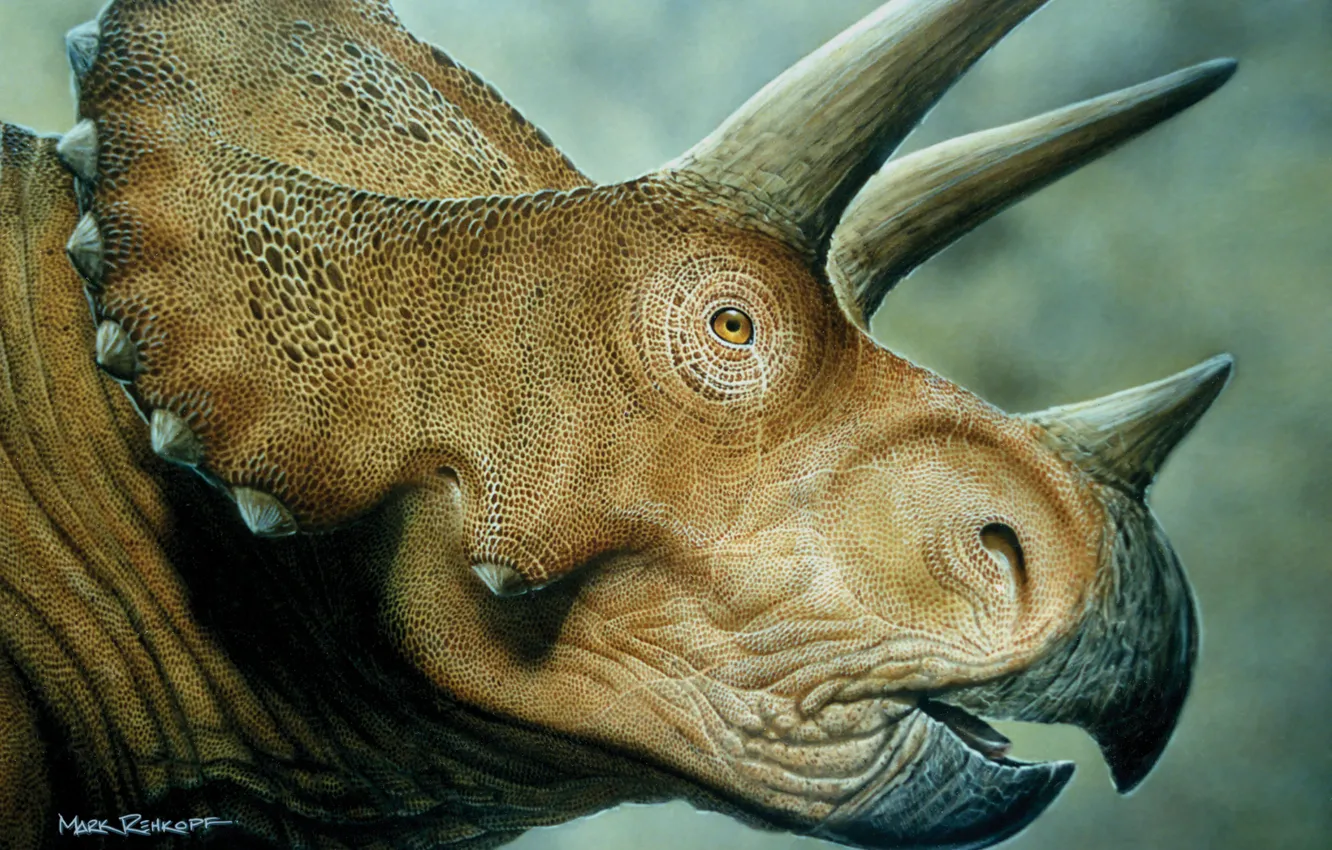 Photo wallpaper dinosaur, Triceratops, prodaja