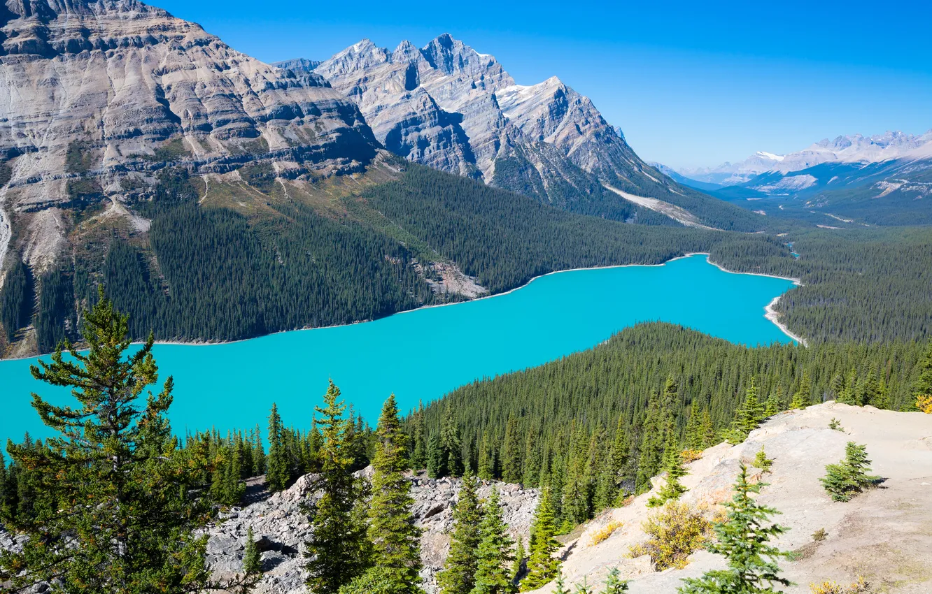 Photo wallpaper forest, the sky, trees, mountains, lake