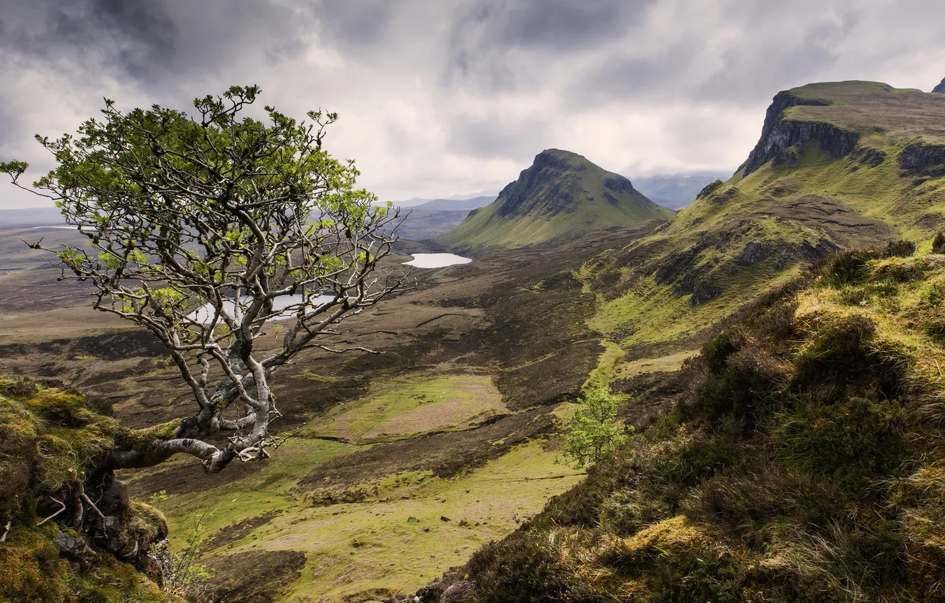 Photo wallpaper the sky, mountains, clouds, lake, tree