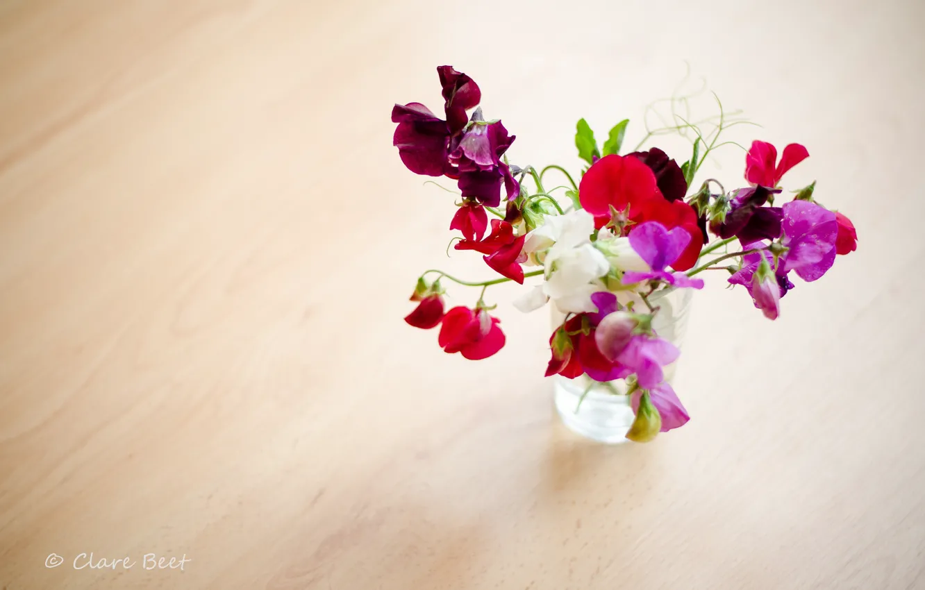 Photo wallpaper flowers, bouquet, polka dot, vase, Clare Beet, fragrant
