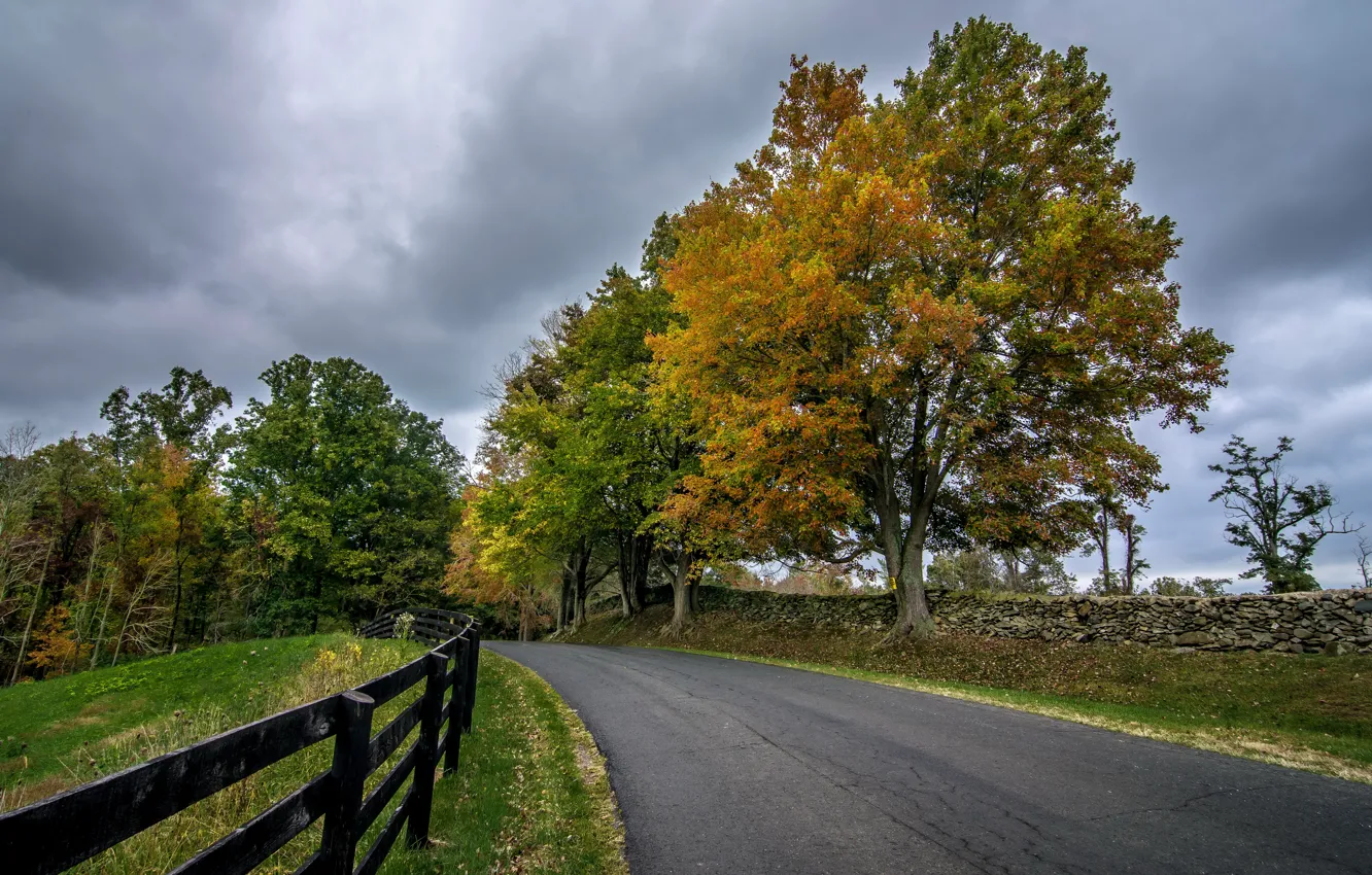 Photo wallpaper road, autumn, trees, the fence
