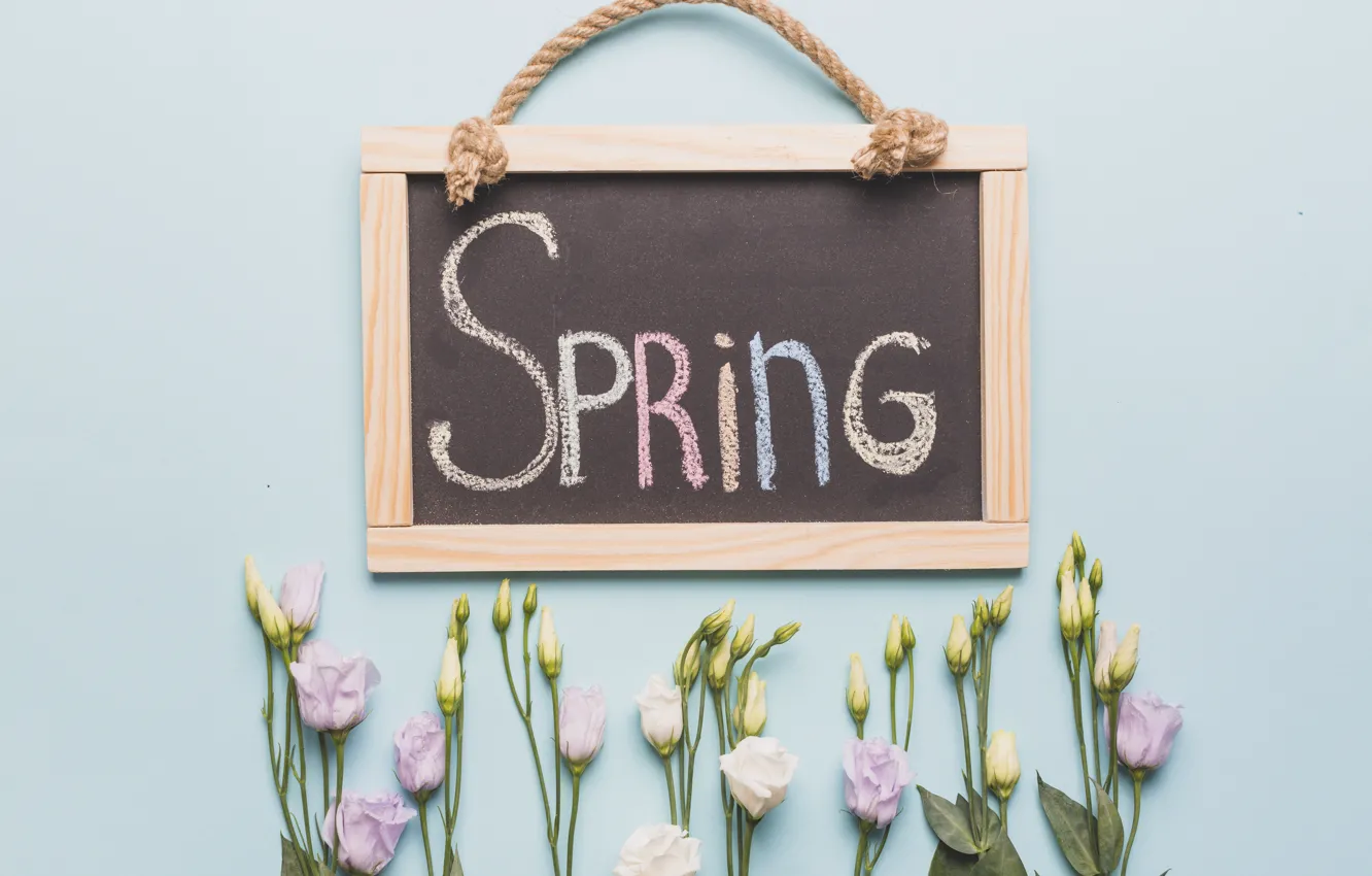 Photo wallpaper flowers, Board, spring, buds, wood, flowers, spring, decoration