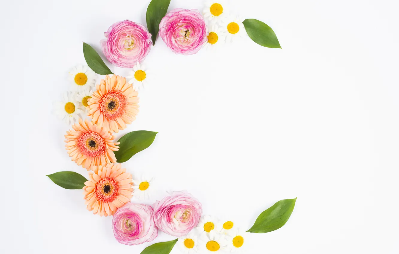 Photo wallpaper chamomile, leaves, gerbera, flowers, gerbera, composition, Ranunculus