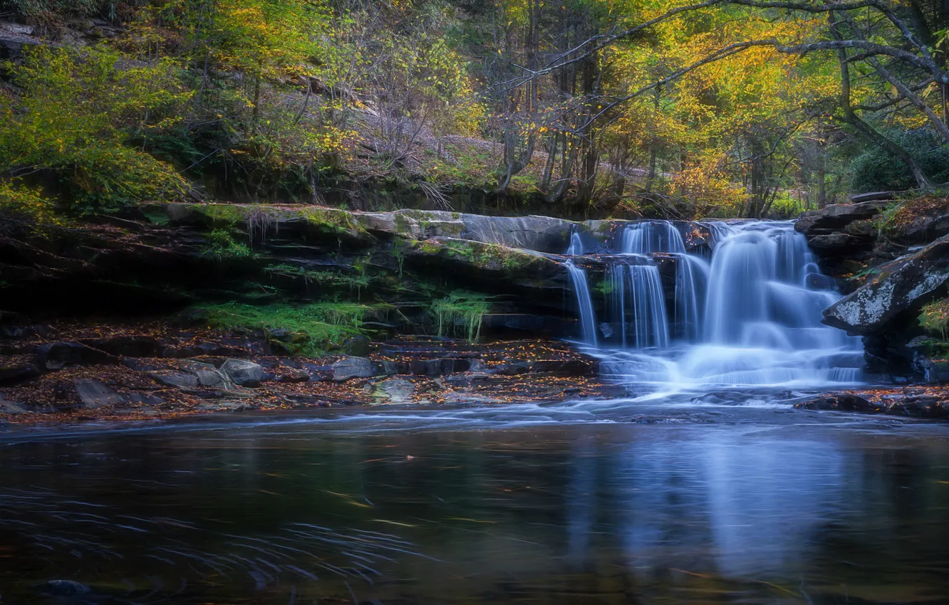 Photo wallpaper autumn, forest, trees, branches, stones, foliage, waterfall, fallen