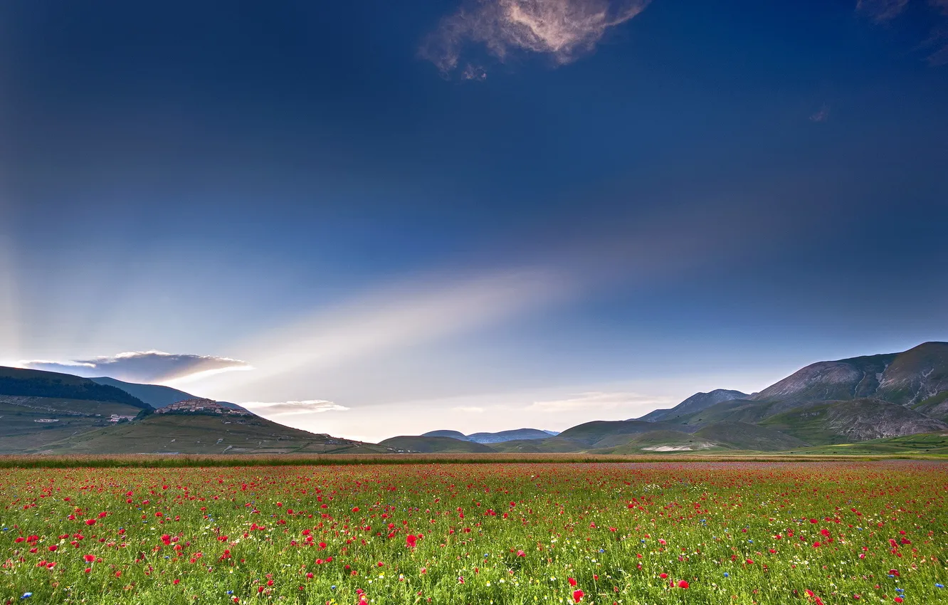 Photo wallpaper field, the sky, landscape, Maki