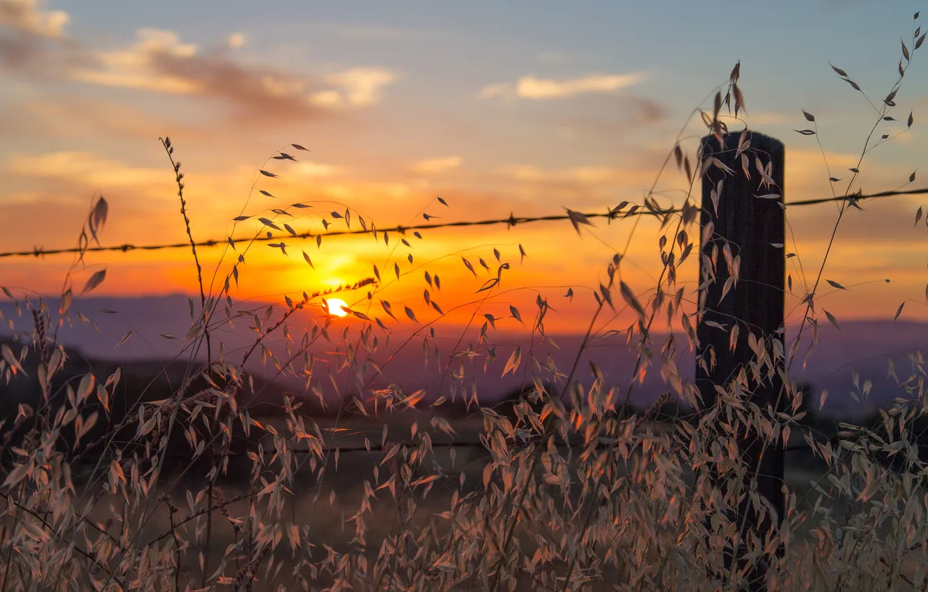 Photo wallpaper field, clouds, sunset, hills, the fence, wire, stem, valley