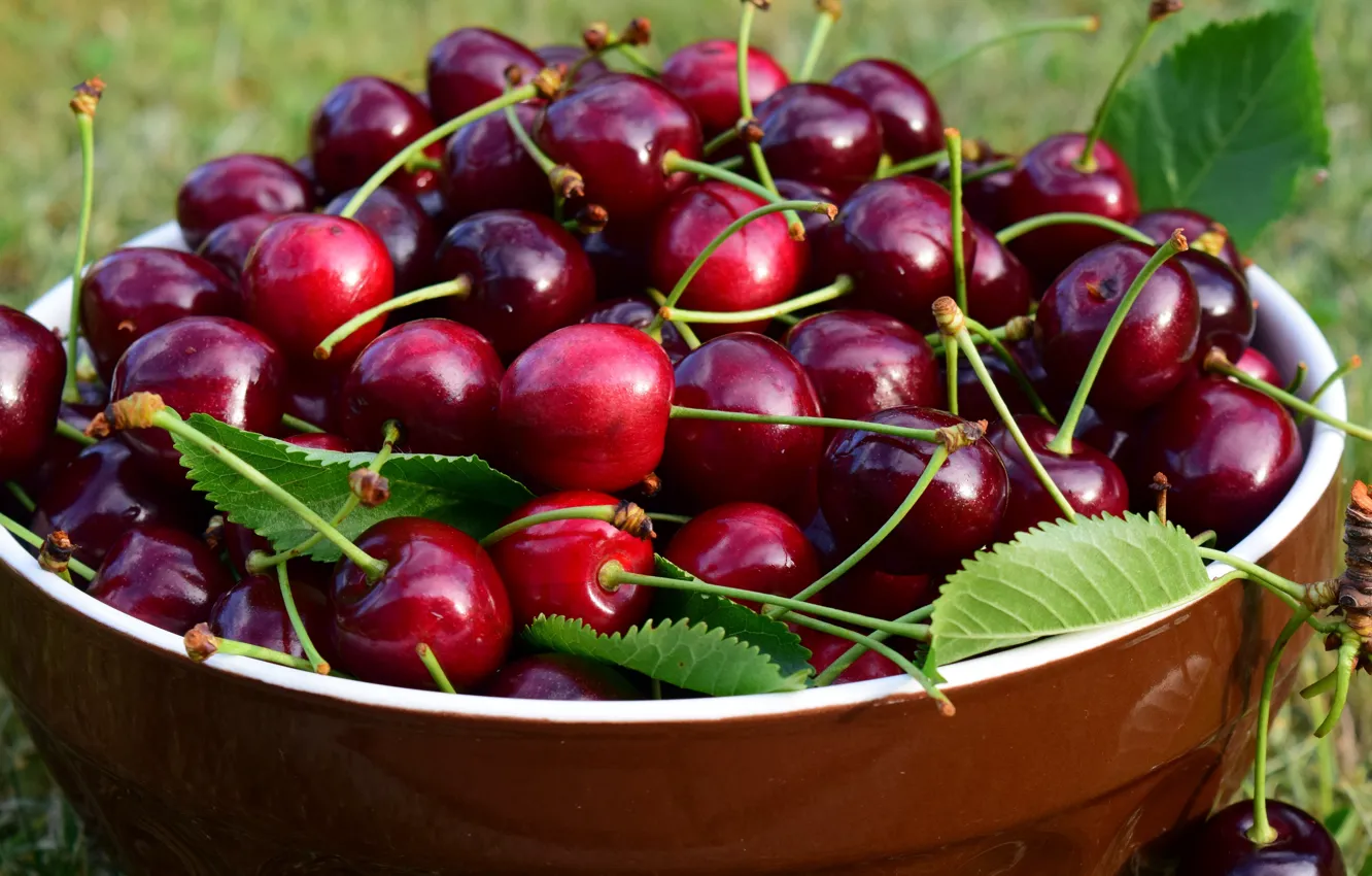 Photo wallpaper leaves, nature, cherry, berries, Shine, food, harvest, Cup