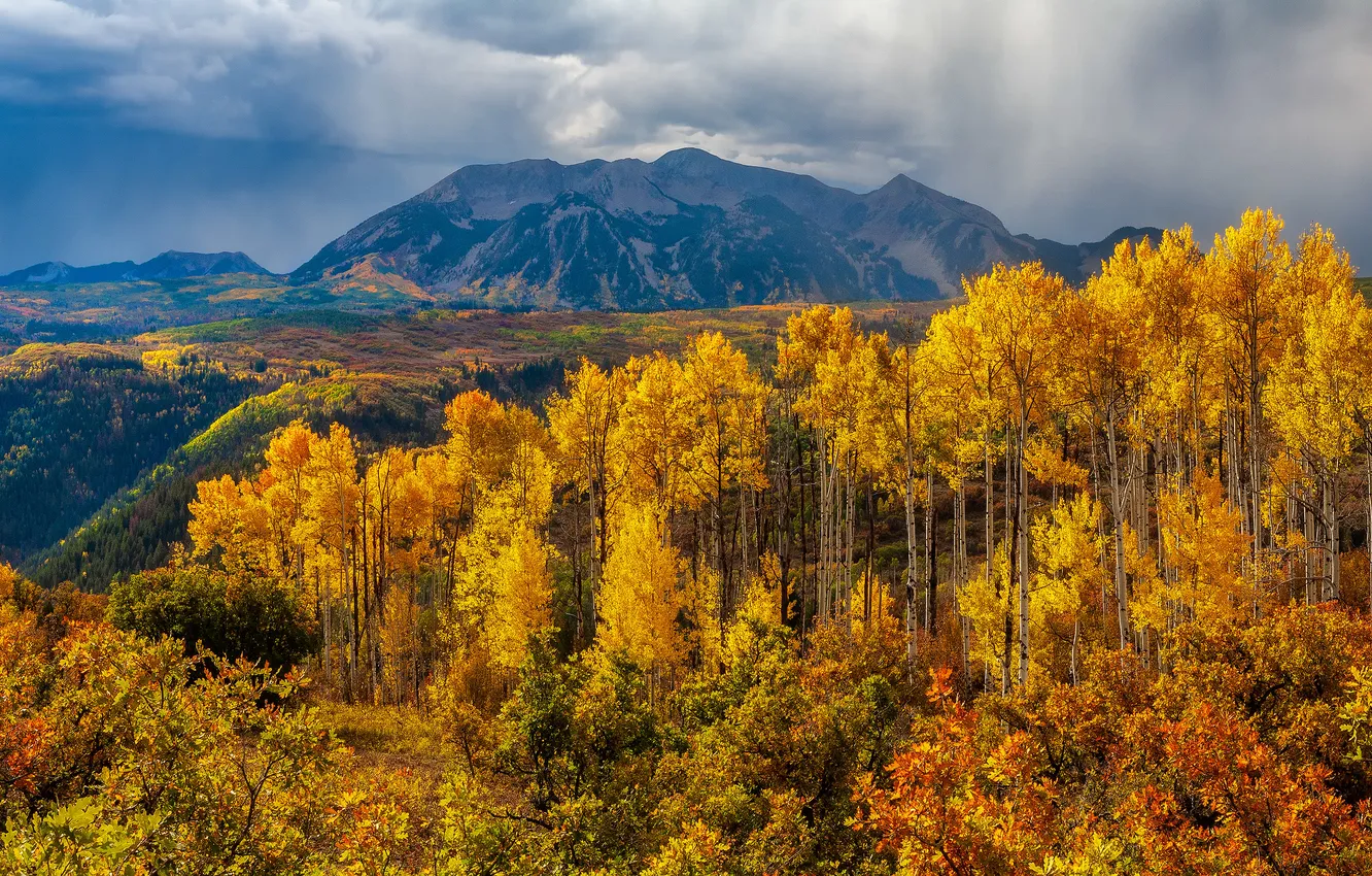 Photo wallpaper autumn, forest, the sky, clouds, trees, mountains, dal, haze