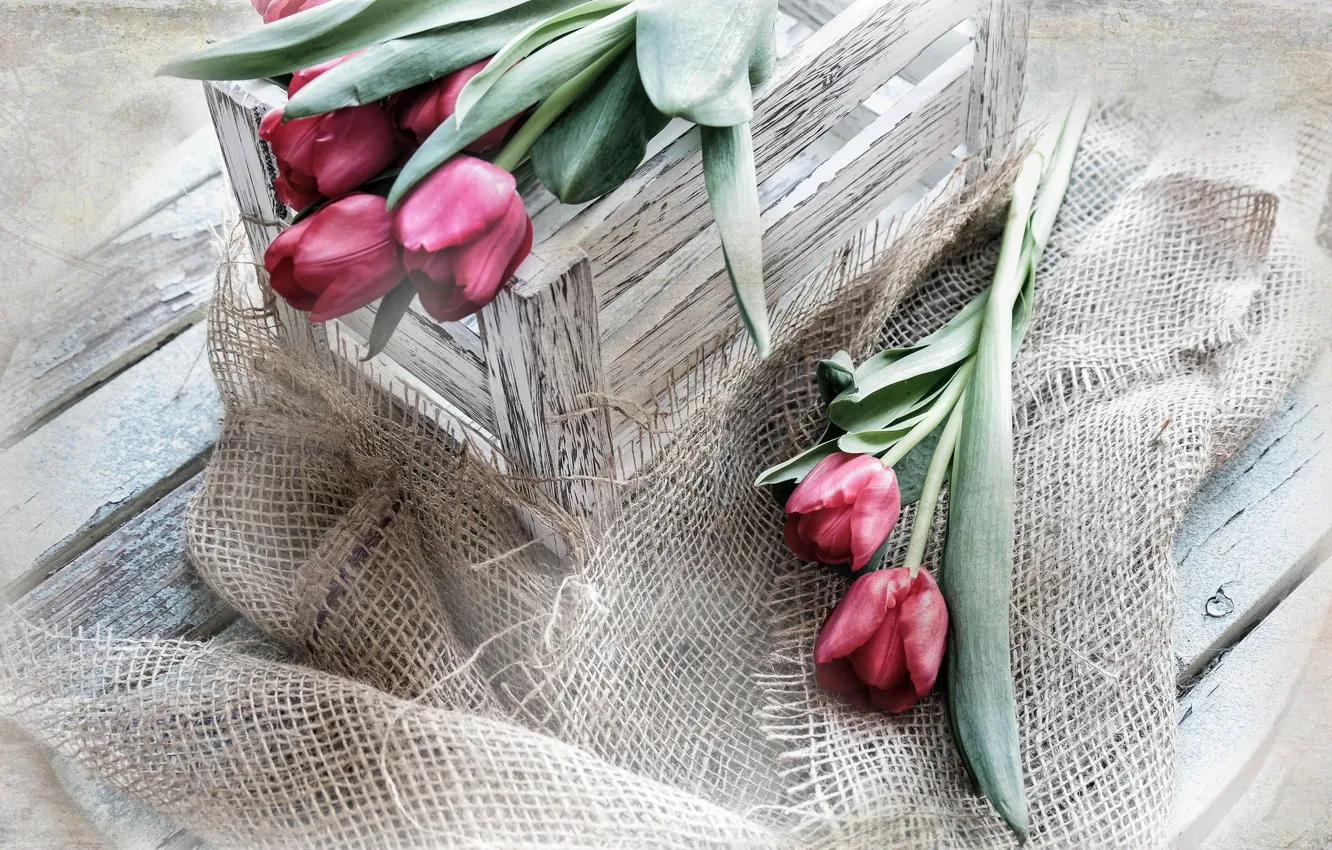 Photo wallpaper flowers, tulips, box, bag