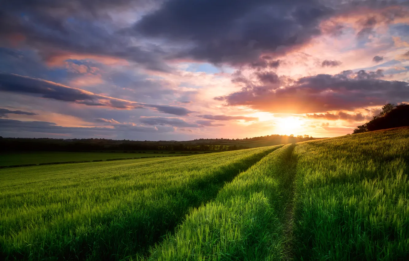 Photo wallpaper field, the sky, clouds, sunset, spring, the evening, May