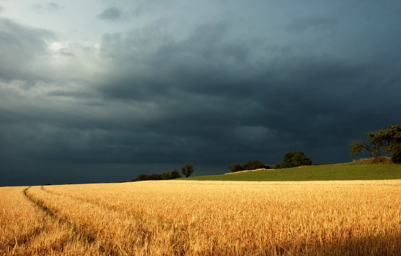 Photo wallpaper the storm, field, clouds