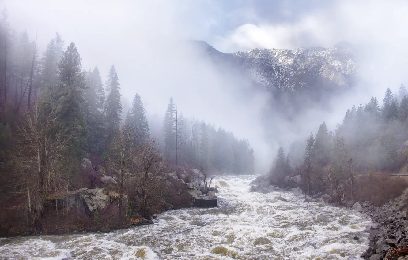 Photo wallpaper nature, fog, river