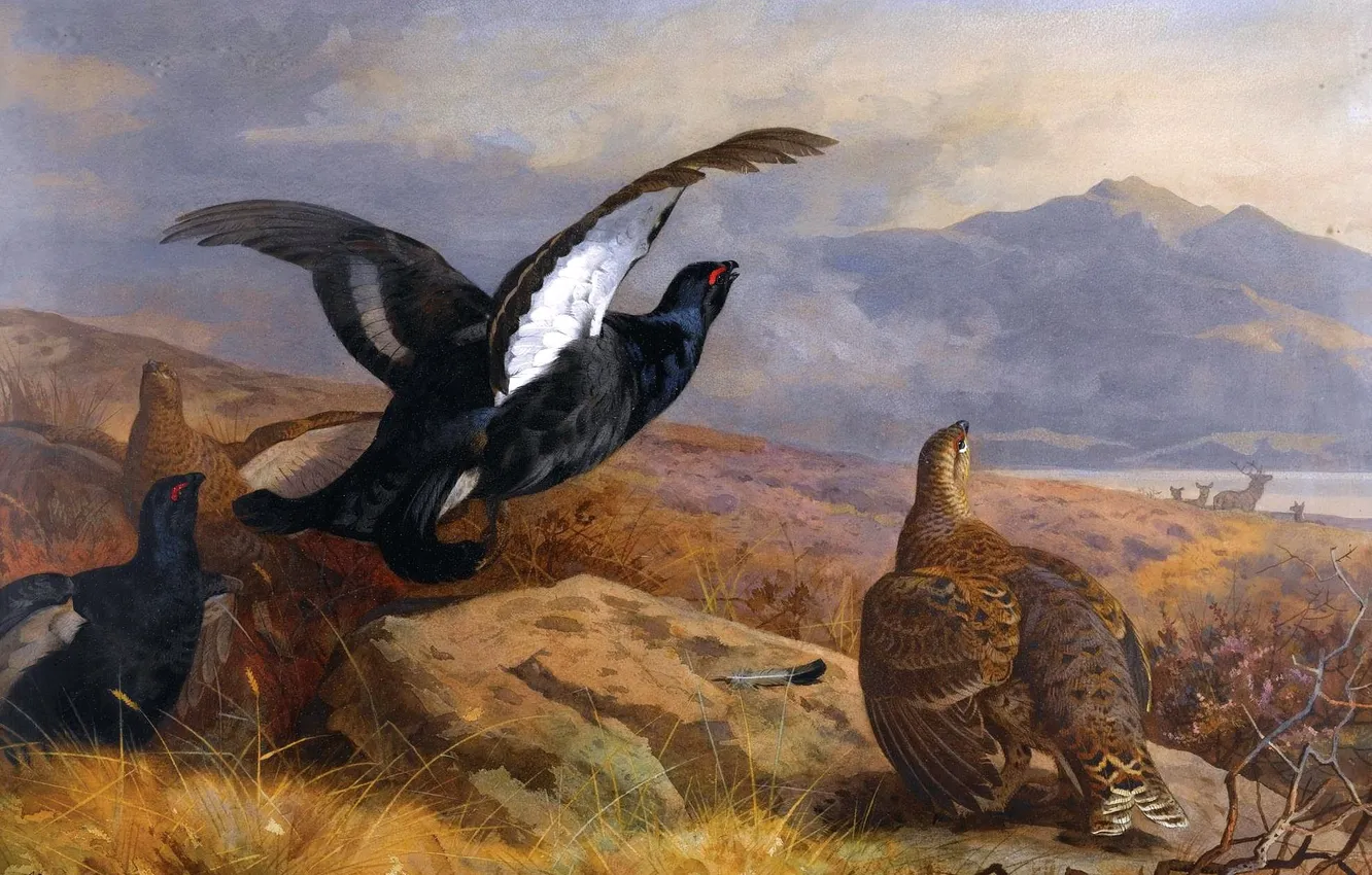 Photo wallpaper mountains, bird, wings, picture, deer, river, grouse, Scottish painter