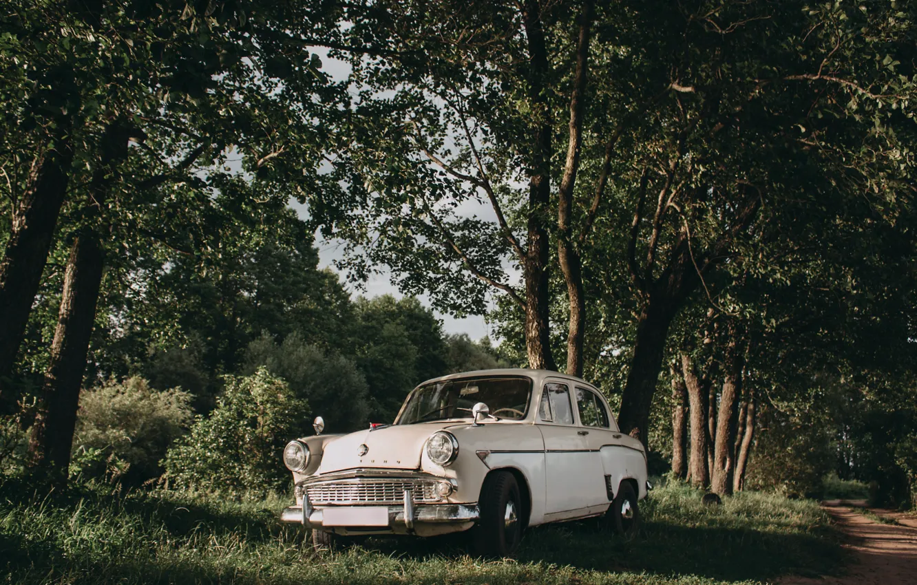 Photo wallpaper car, trees, nature, old car, oldtimer, Artur Stanulevich