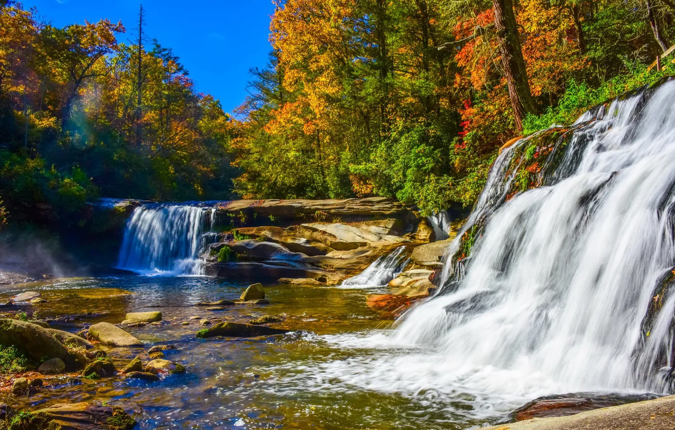 Photo wallpaper autumn, forest, trees, stones, waterfall, river, Sunny