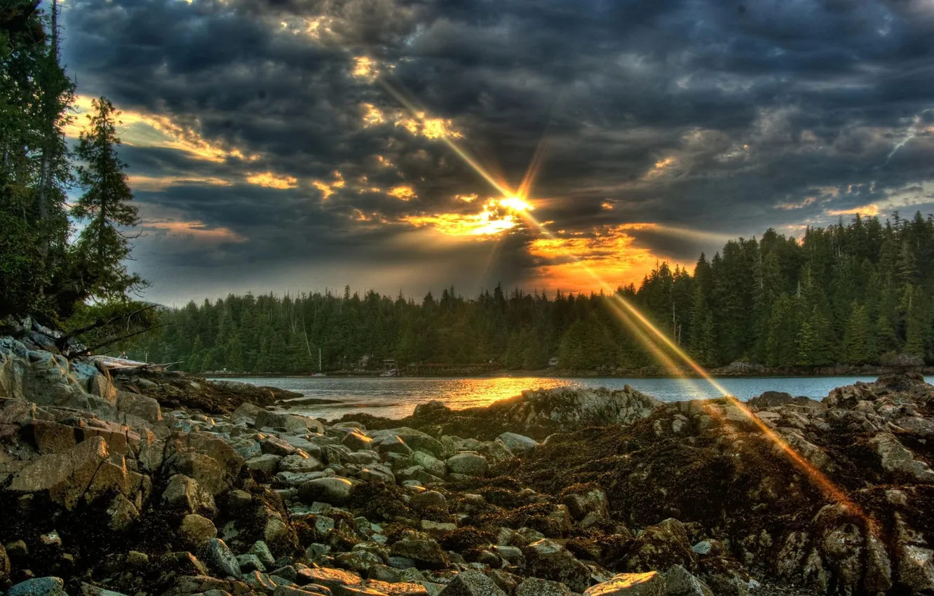Photo wallpaper forest, the sky, sunset, river, stones, sunset