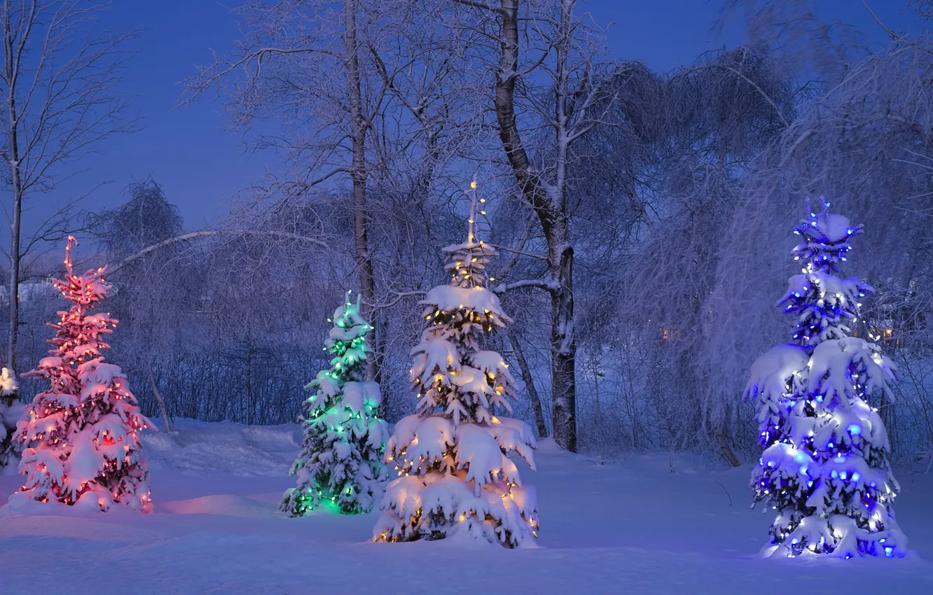 Photo wallpaper winter, frost, snow, trees, blue, yellow, red, lights