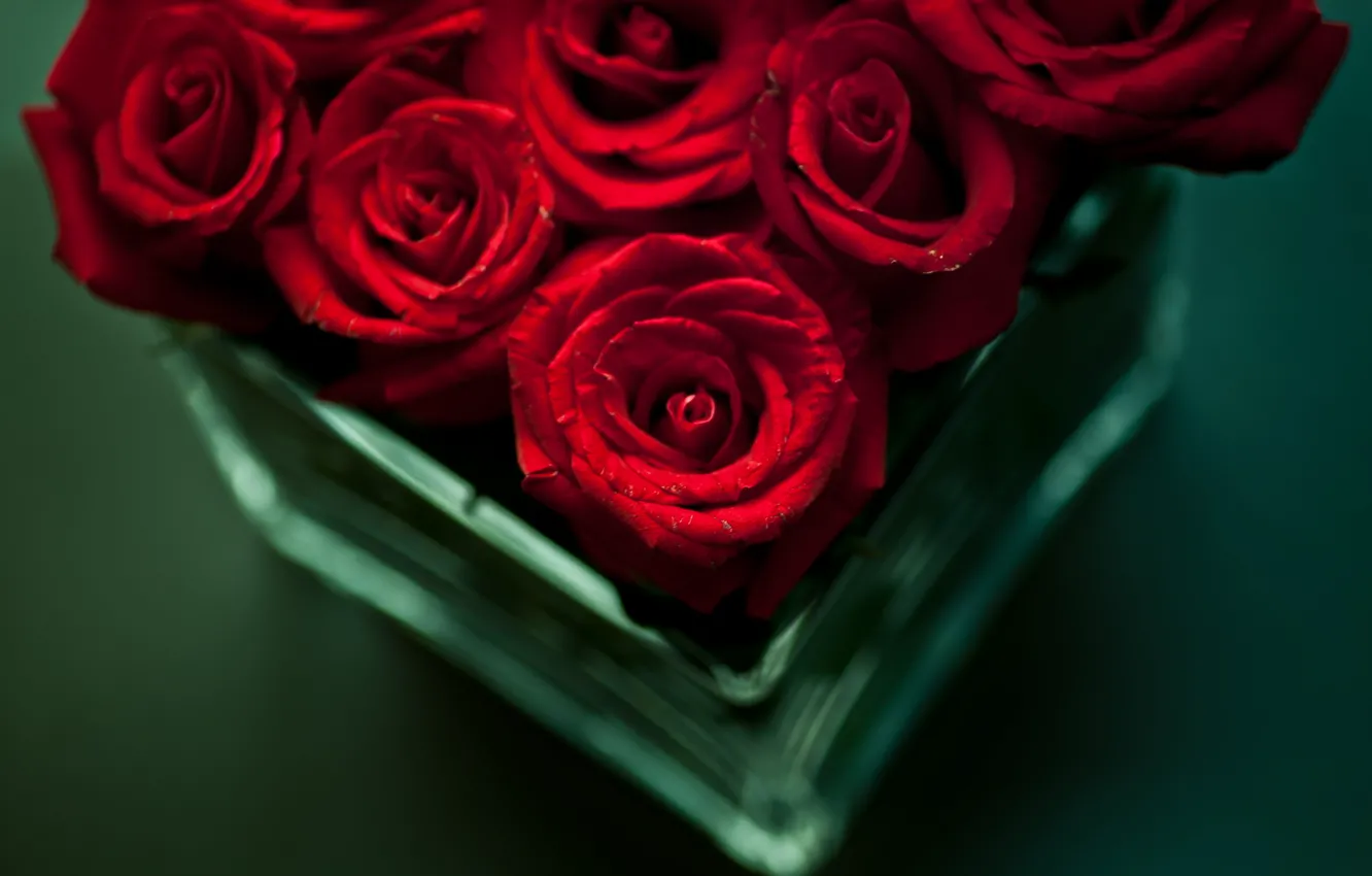 Photo wallpaper flowers, table, roses, bouquet, red, vase