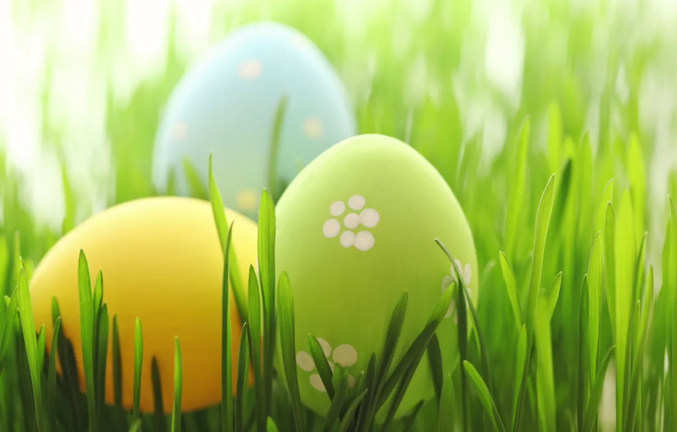 Photo wallpaper grass, Easter, spring, Easter, eggs, Happy, pastel, the painted eggs