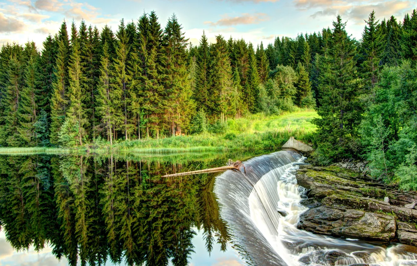 Photo wallpaper forest, the sky, grass, clouds, trees, landscape, nature, river